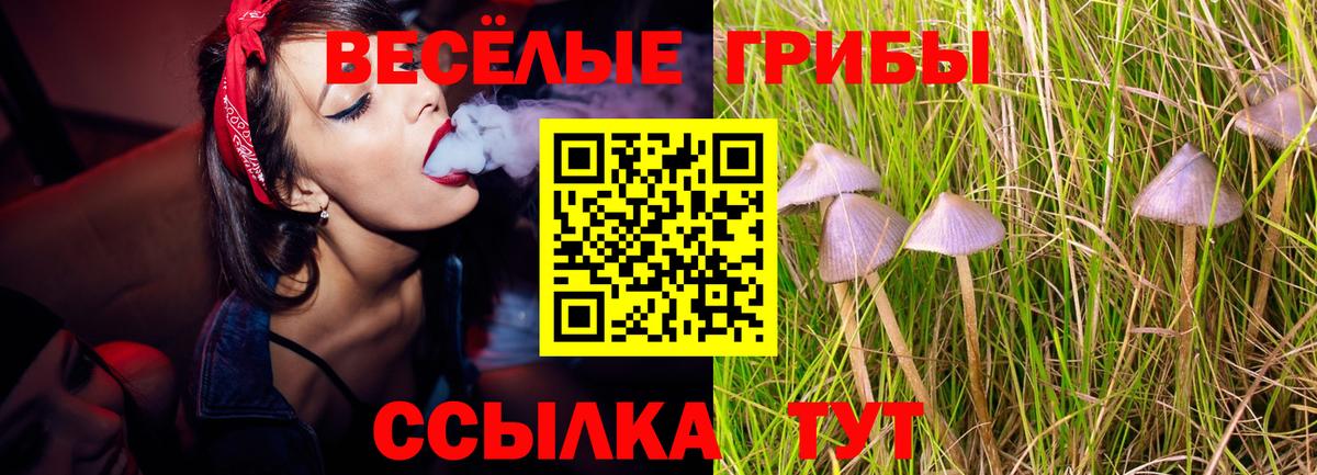Мичуринск  Псилоцибиновые грибы GOLDEN TEACHER  Вход с VPN 